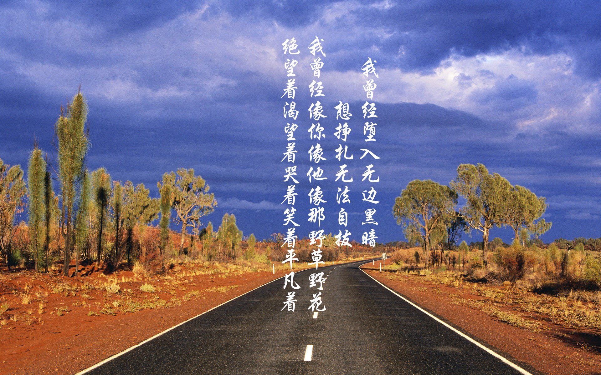 阿森纳主场3-0大胜诺丁汉森林，晋级欧冠，阿森纳 edu