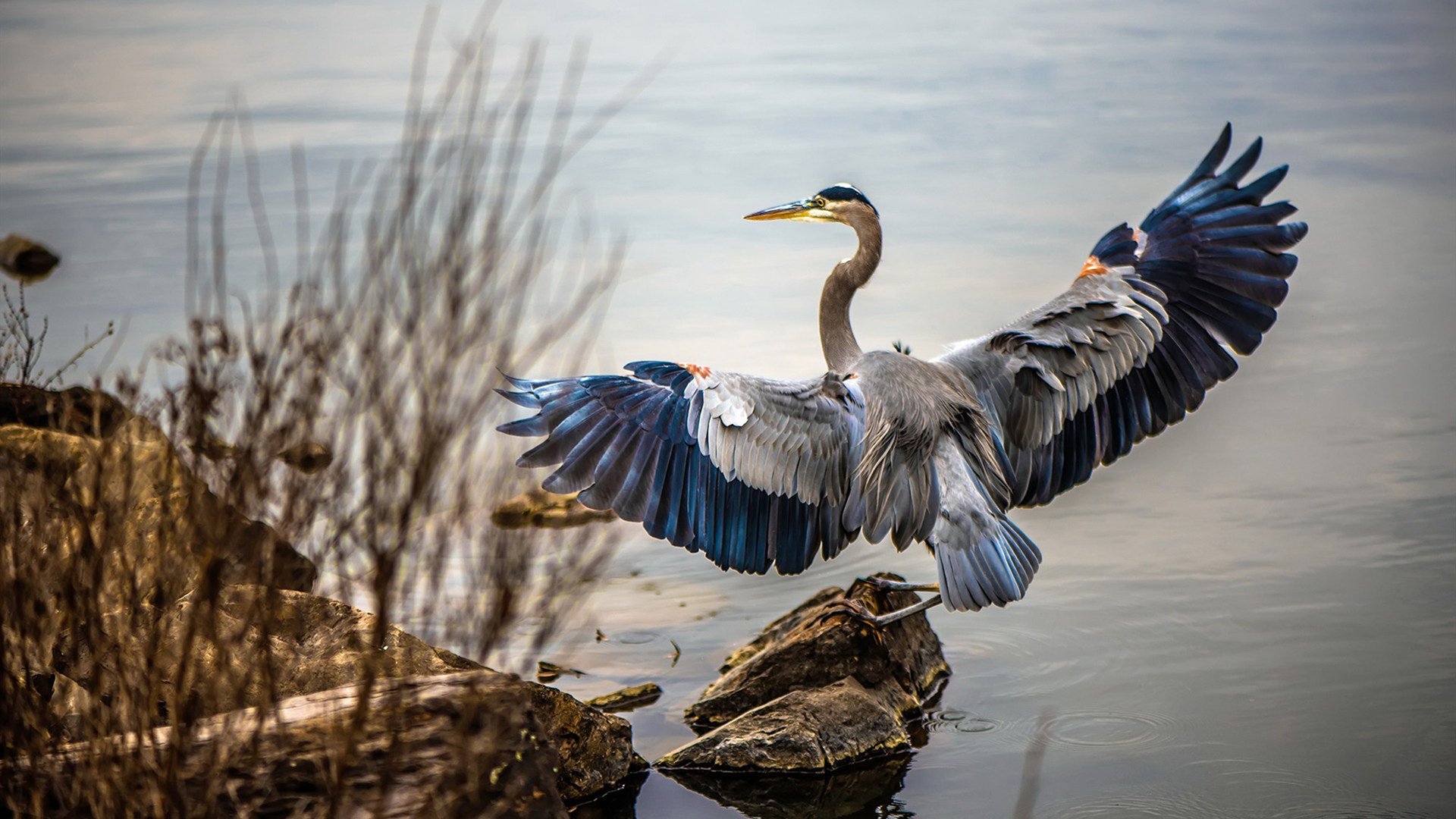 西甲裁判吹罚尺度演变对比赛节奏的微观影响,足球裁判吹哨视频