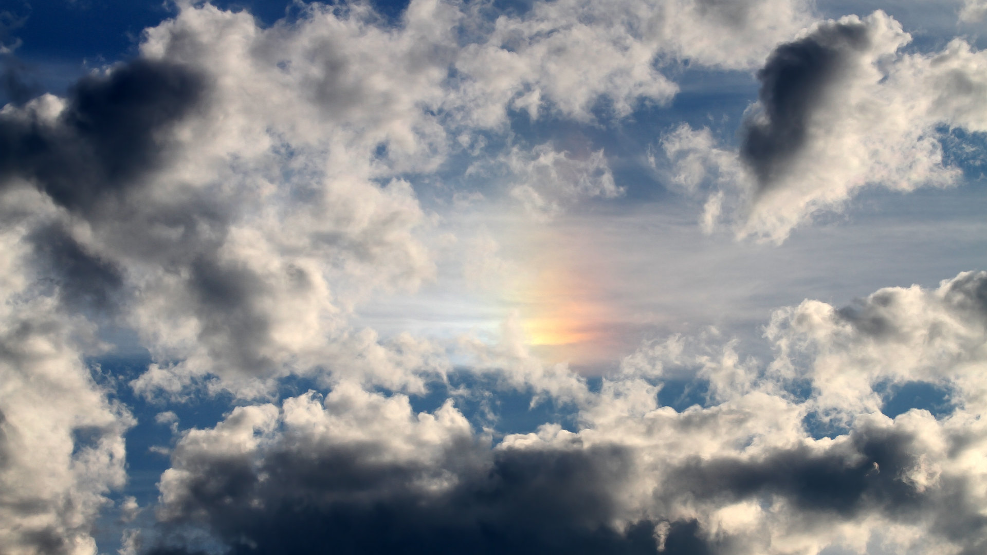 体育新闻中心发布体育内容原创度评估智能工具，原创体育sports