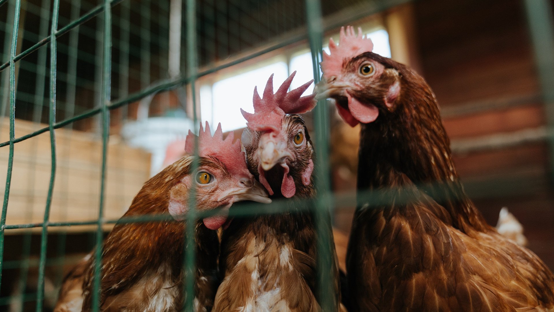 球队在慢节奏下是否更容易防守成功,足球节奏慢