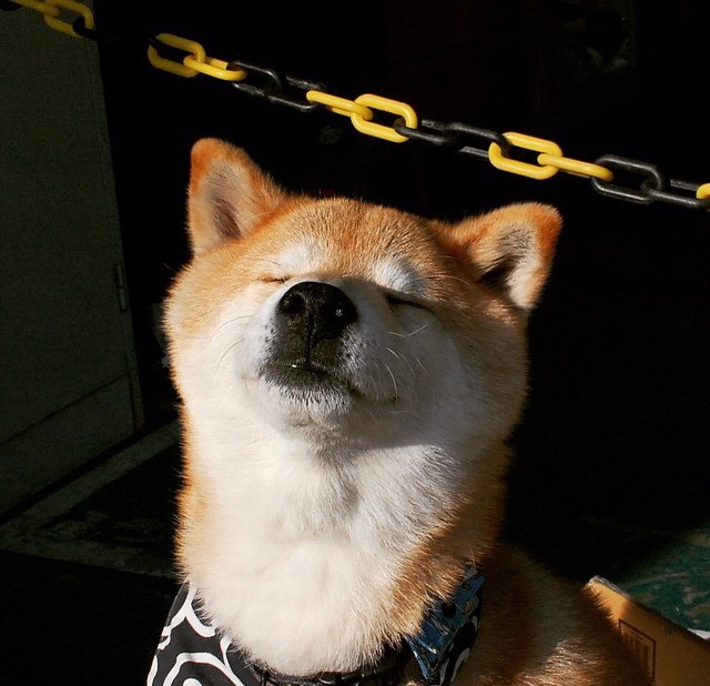 开云官方-节奏掌控是否是球队领袖的必备能力之一，节奏控制