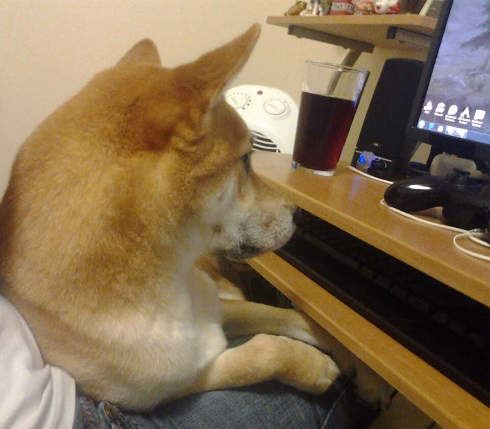 kaiyun网站-足球品牌建设乏力，足球俱乐部品牌价值