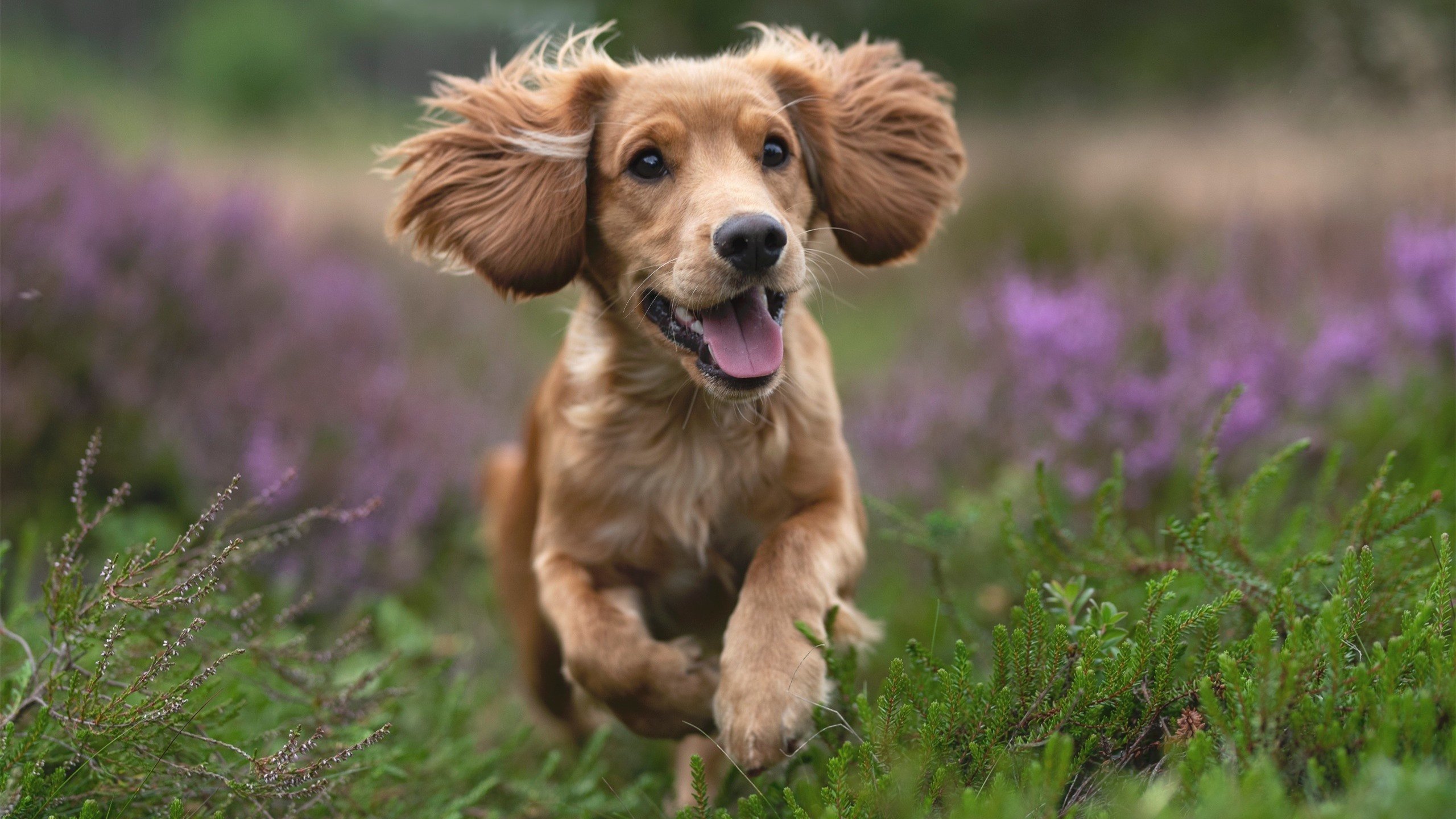 万乐天决赛表现稳健赢得掌声，万乐天决赛表现稳健赢得掌声的是谁