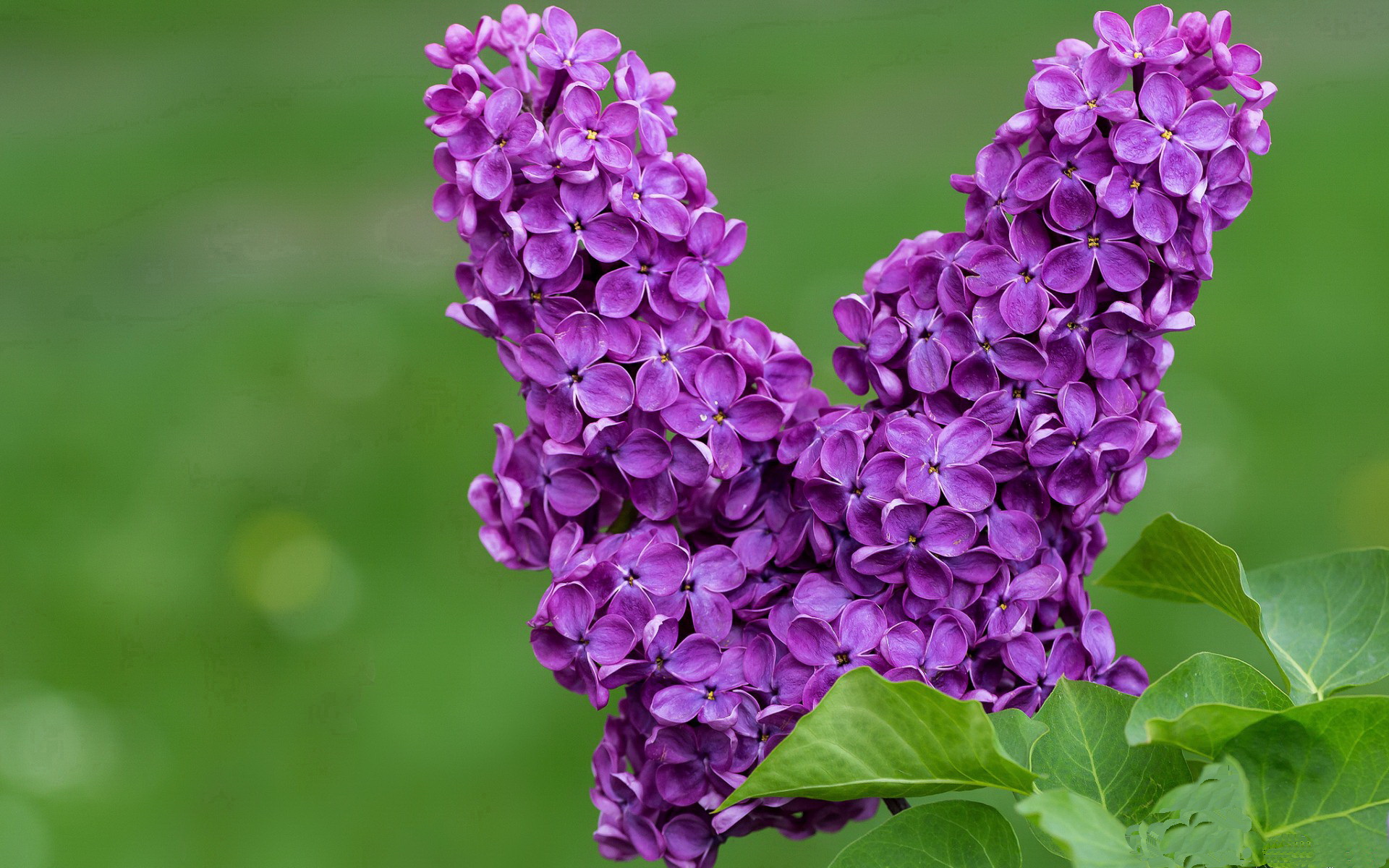 乌拉圭男篮在南美锦标赛中再获佳绩,体育水平持续提升,乌拉圭篮球赛