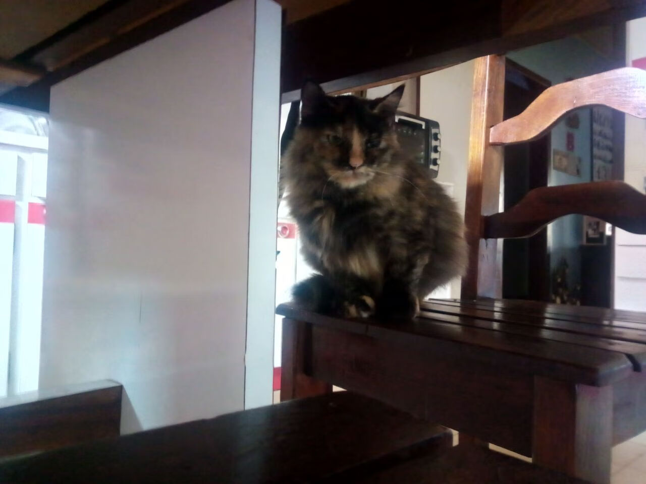 国王罚球线表现稳定全队命中率提升,国王球场