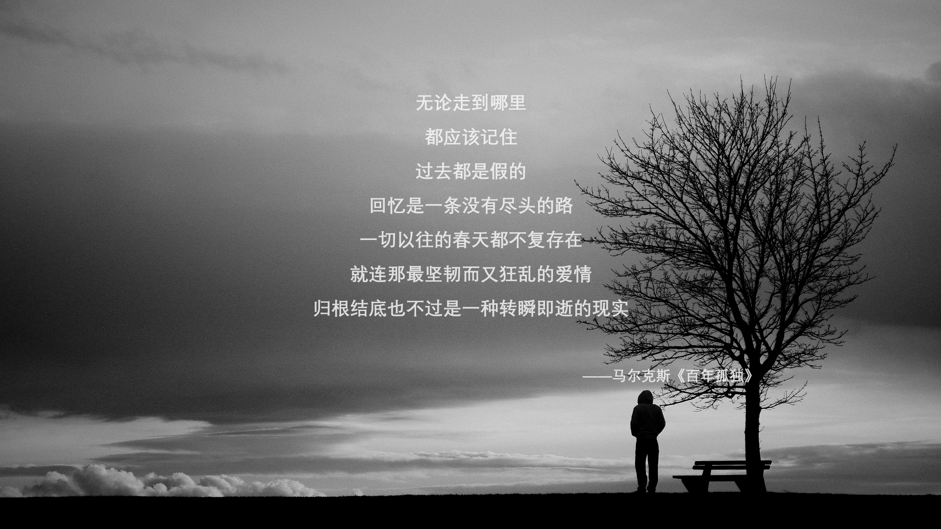 KAIYUNAPP-奥卡拉汉决赛中段加速领跑赛道，奥卡拉在哪里