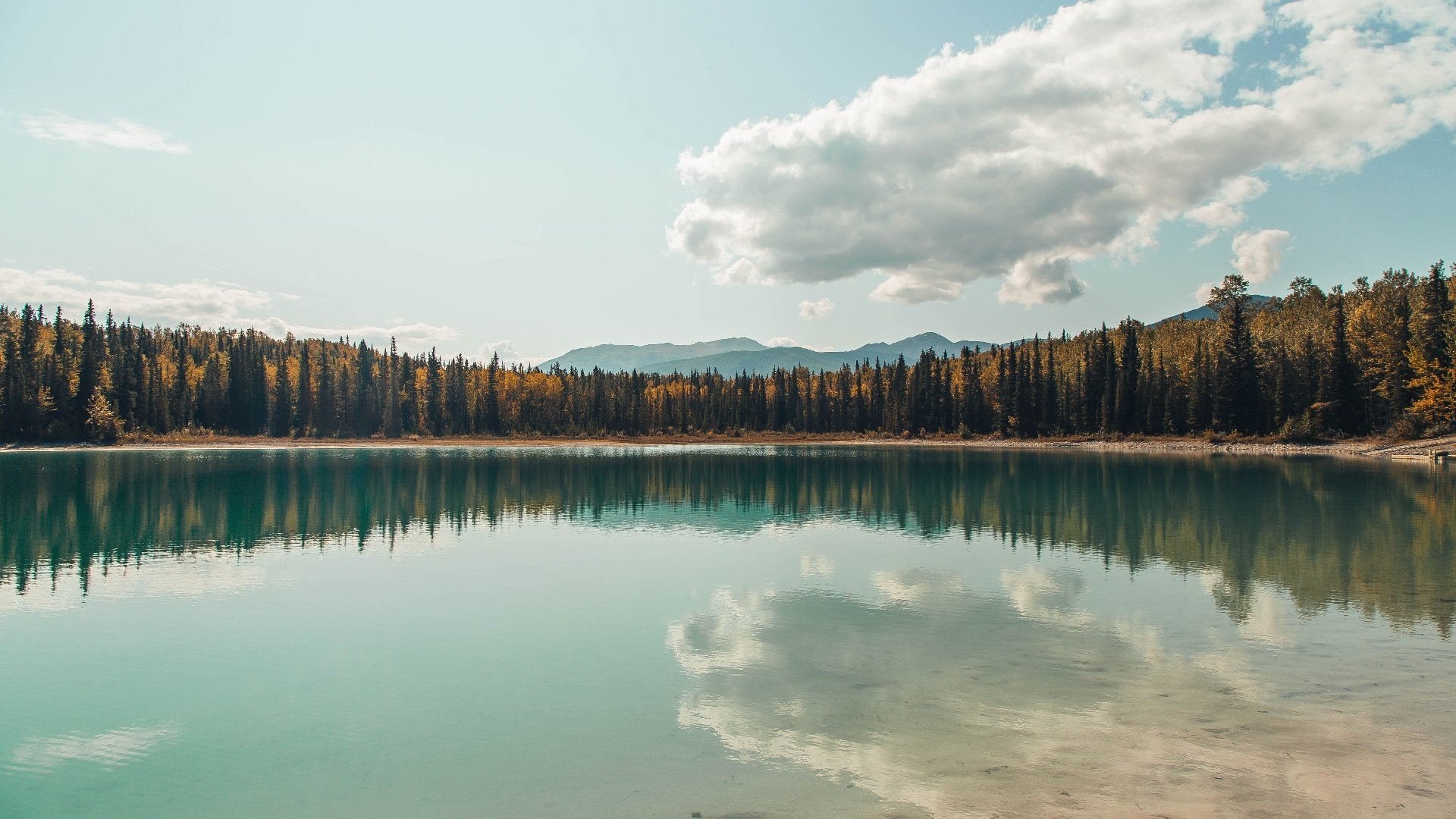 kaiyun中国官方网站-联合主办城市签署合作协议，共同推动赛事发展，联合承办和联合主办的区别